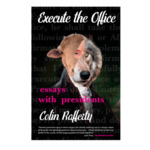 Execute the Office: Essays with Presidents by Colin Rafferty